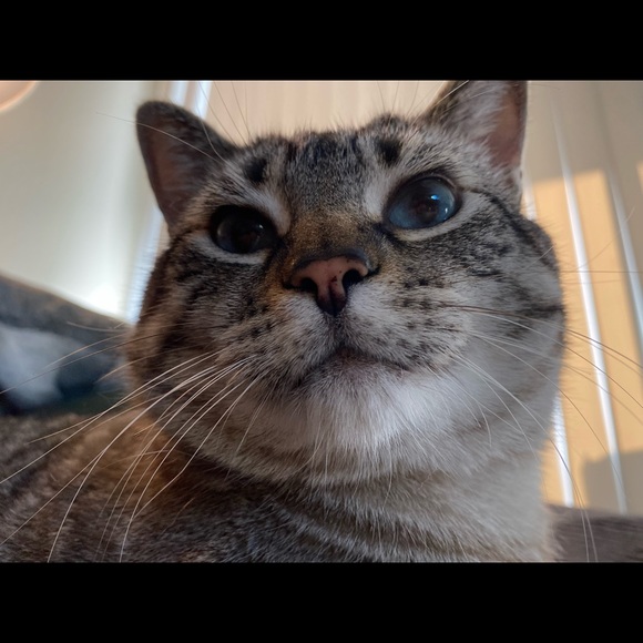 Meet your Posher, Jessy - Picture 3 of 8